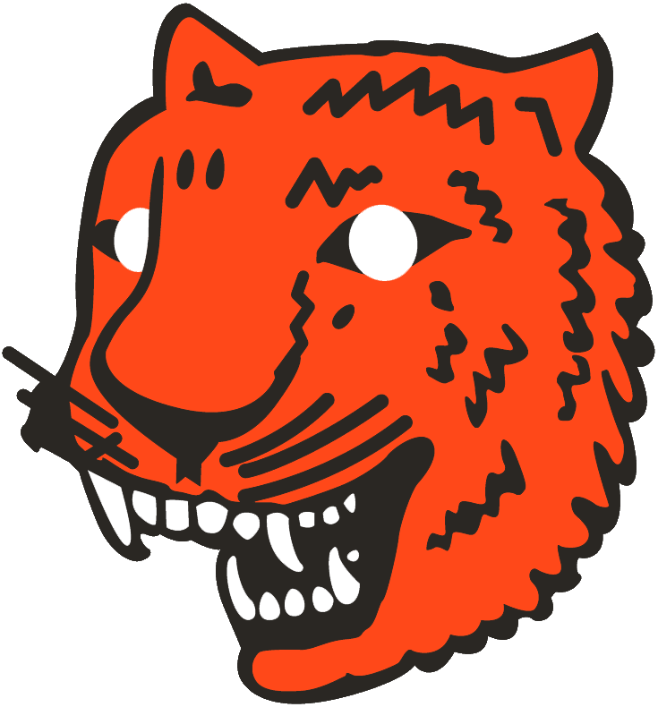 Detroit Tigers 1927-1928 Primary Logo iron on heat transfer